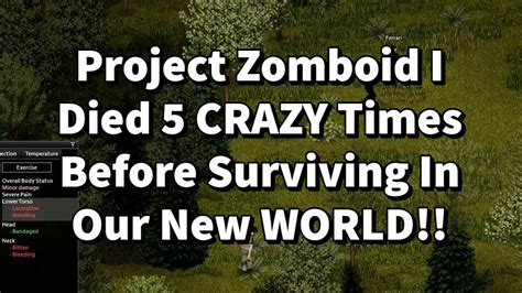 Zomboid: An Open-World Survival Playground for Zombie Enthusiasts!